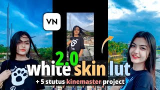 Top 10 +White Skin Colour Filter For VN Video Editor | And 5 kinemaster Project File screenshot 4