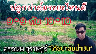 ปลูกปาล์มระยะไหนดี 9*9 กับ 10*10