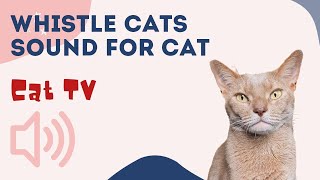 WHISTLE CAT CALL ˶^••^˵  Sounds that attract cats  Your cat will come running to you. CAT TV