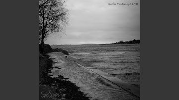 Då/Nyanser av svart