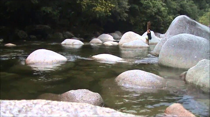 Koalaing for Ellen Mossman Gorge