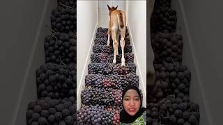 naik tangga madu baru boleh #ytshorts #like #reaction #youtubeshorts #fyp #viralvideo #video