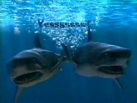 1998 Mint A Burst Gum Sharks Just Snagged A Surfer Commercial