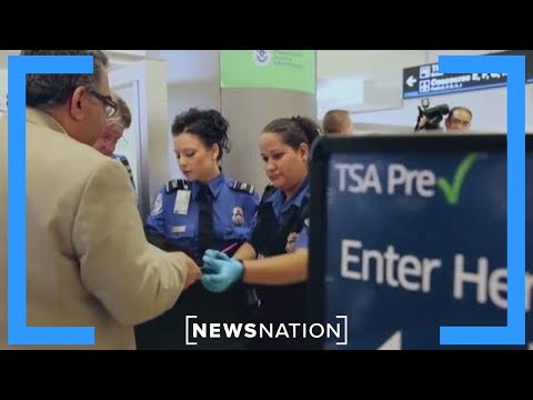 American flight attendants caught in cartel drug scheme | NewsNation Now