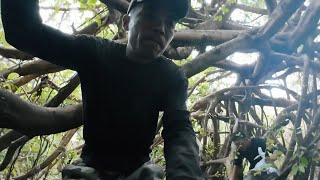 Tìm Kiếm Rất Lâu Cuối Cùng Cũng Trúng Lộc Rừng / Survive in the tropical rain forest