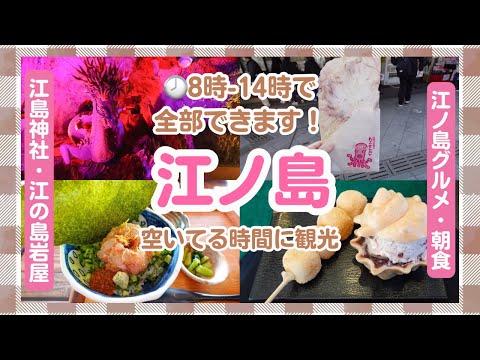 [Enoshima] A plan to enjoy gourmet food, shrines, caves, and boats in a short time [Day trip]