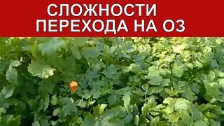 видео Органическое земледелие