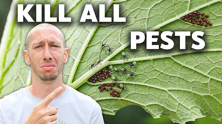 How to Eliminate ALL Pests in the Garden (NO MERCY)