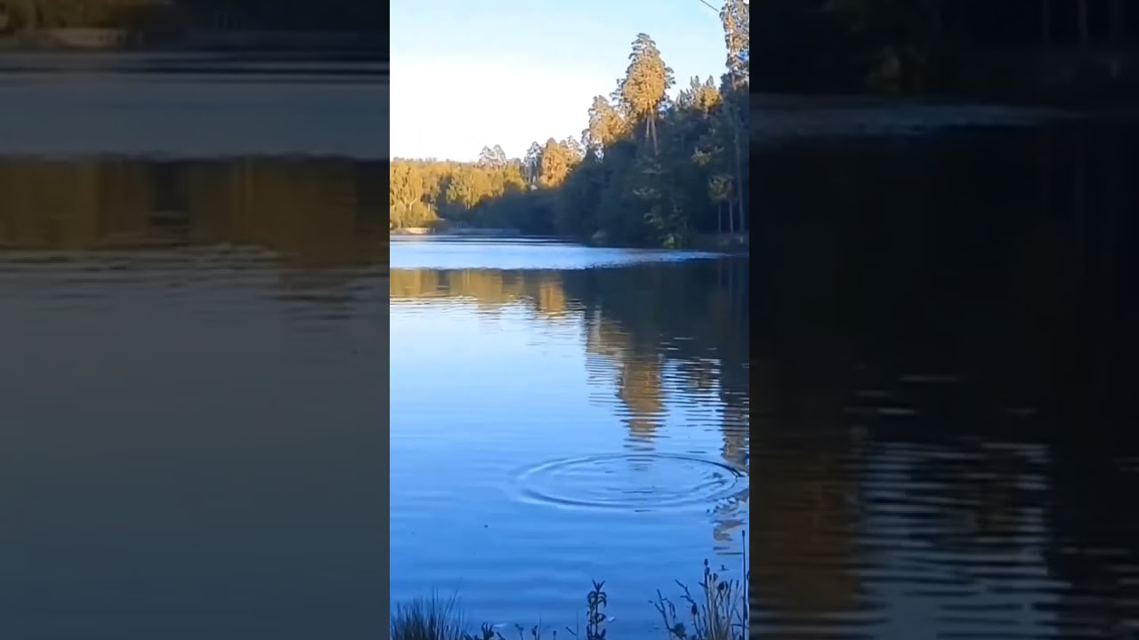 Удивительная рыбалка в мини прудике