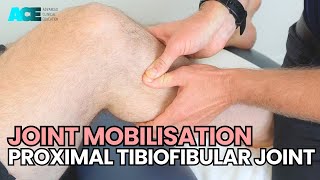 Joint Mobilisation: Proximal Tibiofibular Joint.