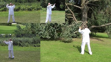13 Form Tai Chi - Posture 01 - Beginning - Free Lesson - Tai Chi Online.com