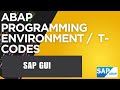 25 - ABAP Programming Environment | Development Transaction Codes | ABAP VS Code | ABAP in Hindi