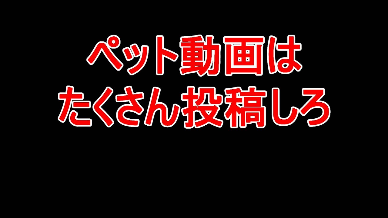 ペット動画はたくさん投稿しろ・動物動画収益化 YouTube