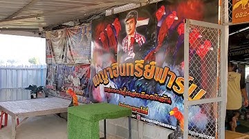 Mus saib Qaib Ej thaib teb