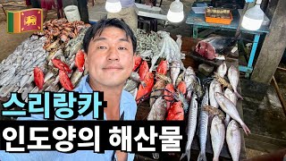 한국의 생선구이 정식 가격으로 인도양의 해산물을 마음껏…