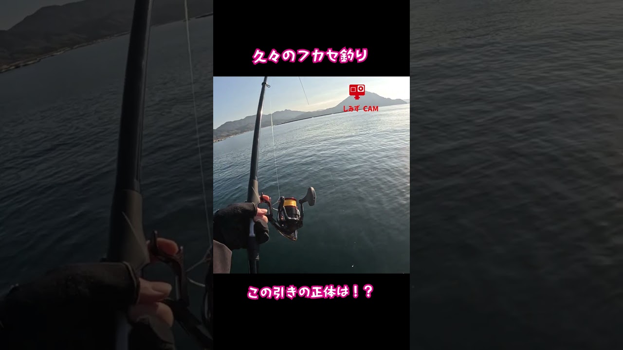 牡蠣筏の上でフカセ釣り、この引きは？ #牡蠣 #フカセ釣り #広島
