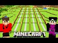 Minecraft: DUPLA SURVIVAL 2.0 - O INICIO da MAIOR PLANTAÇÃO AUTOMÁTICA do JOGO!!! #240