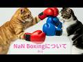 2025-06-13_NaN Boxingについて【M3 Teck Talk 第275回】