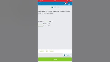 [SoloLearn SQL]IN,NOT IN構文