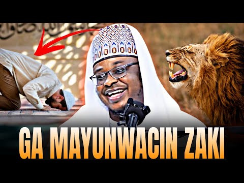 Qissar Wani Mutum Da Mayunwacin Zaki Baici Abinci Ba Kwana 3 Karatun Jiya