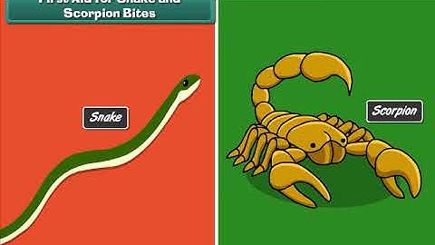 CBSE Class 04 EVS Science SOCIAL SCIENCE Emergency Care And Home Remedies