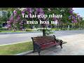 Ta lại gặp nhau mùa hoa nở | Ca khúc từ thơ