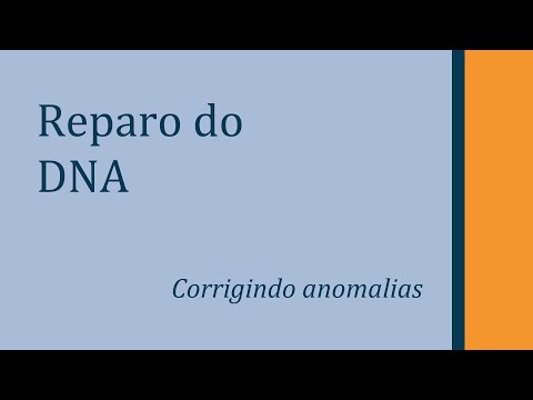 Vídeo: Mecanismo De Reconhecimento De Modificação De DNA Acoplado à Transcrição