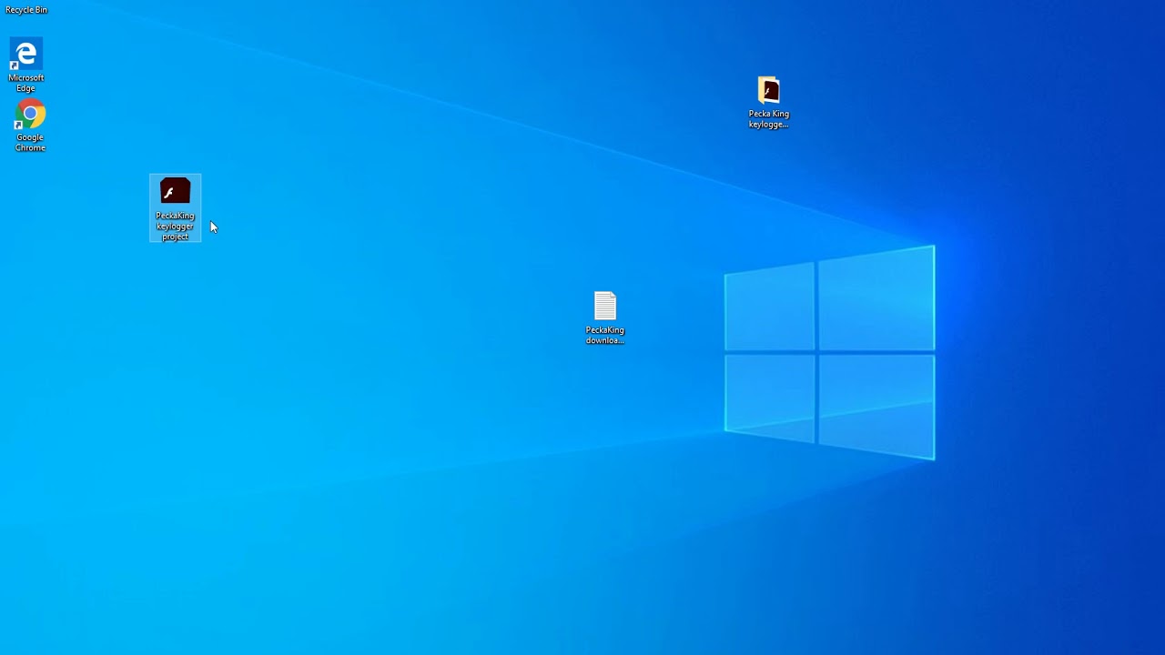 PeckaKing keylogger project. Free download (link in description)