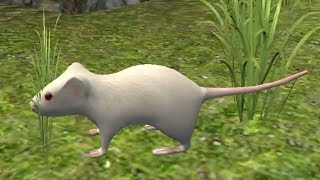 Mouse Simulator Android Gameplay #1 screenshot 5
