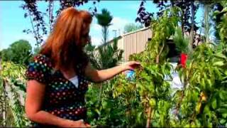 How to Prune Fruit Trees
