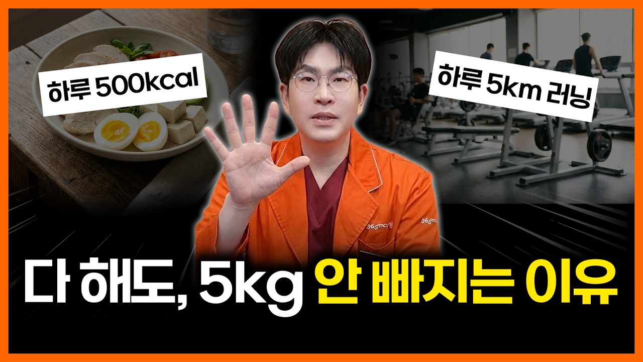 다이어트가 어렵다? 그러면 이렇게만 하세요! | 다이어트 음식, 다이어트 식단, 다이어트 방법