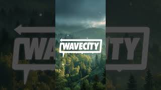 NXT GXNXRXTION - LEGACY