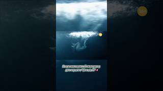 ⚡️ Саундтрек к т/с Плакса 2 - готов ✅ #плакса #сериал #shorts #никажукова #музыка #фильмы #жуков