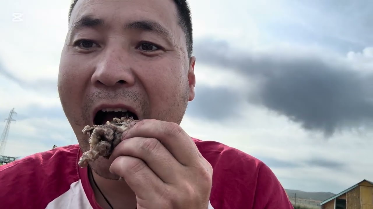 Монгол зоог ба Хөдөө нутаг 2025-9-2н