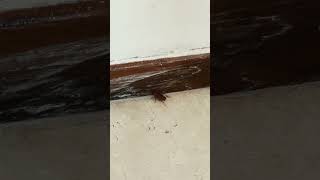 This Is Unacceptable