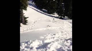 2019 Bigwhite mountain snowboard edit