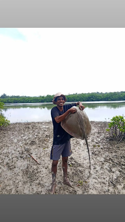 cuma ikan kecil 🥺 #mancing #ikan #mancingmania #fishing #angler #fypシ゚viral #ikanbabon #mancingpari