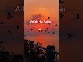 #shorts #quran #qurantranslationurdu #qurantranslation #viral #trending #ytshorts #quranbynusrat