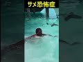 サメって怖すぎるだろ! #ホラー
