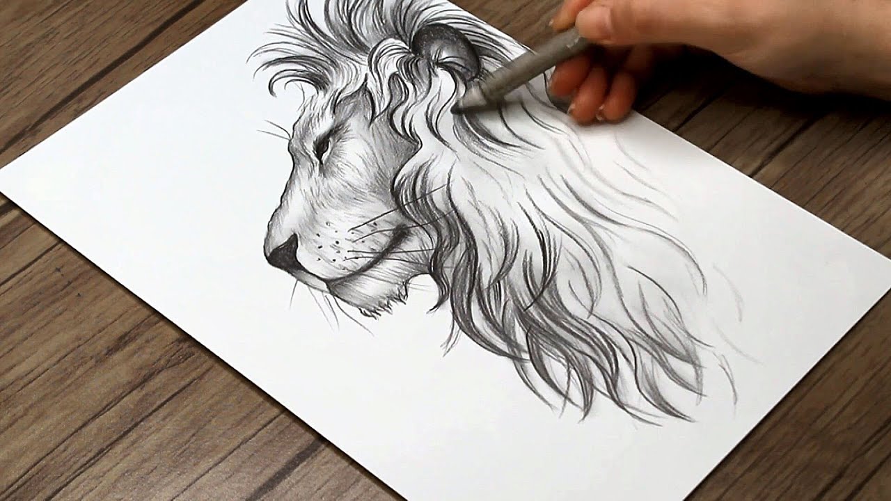 How to Draw a Lion Side View Step by Step | Lion Head Drawing ...