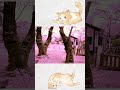 【百花繚乱】#shorts #lifeinjapan #日本の風景 #sakura #癒し #healing #桜 #relaxationvideo #まほろば