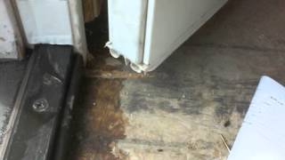 French Door Leaks water into home. 1 of 2 video