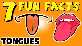 7 FUN FACTS ABOUT TONGUES! TONGUE FACTS FOR KIDS! Learning Colors! Taste Buds! Funny! Sock Puppet!