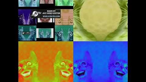 12 preview 2 Numa Cats in low voices