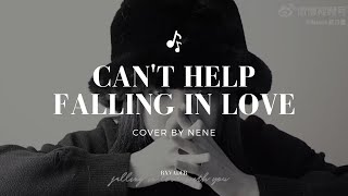 Can't Help Falling In Love - Elvis Presley《Cover by Nene》| Nene Vlog
