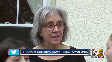 Strong winds fell trees, power lines on Thanksgiving Eve