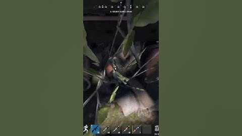 rust console Bradley Downnn