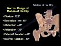 Anatomy of Movement Of The Hip - Everything You Need To Know - Dr. Nabil Ebraheim