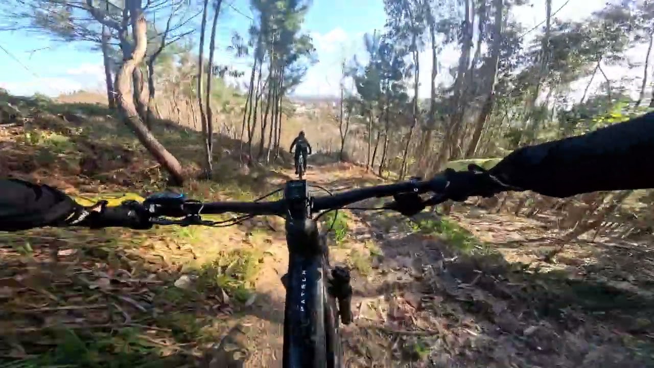 Aproveitar o sol antes que seja tarde.