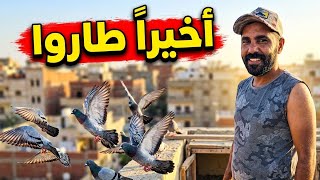 اول فزعه للفراخ الصغار 🔥🤔